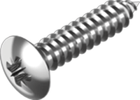 Pltskruv, kullerfrsnkt pozidriv A4, DIN 7983 (6,3 x 32 mm) i gruppen Skruv & nit / Skruv / Pltskruv hos Marifix (7983-4-6,3X32Z)